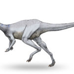 Garudimimus running