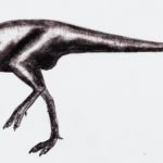Goyocephale standing