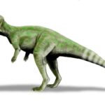 Graciliceratops standing