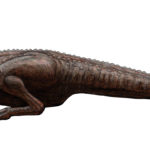 Indosuchus left view scaled