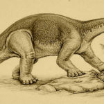 Kotasaurus eating