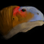 Malawisaurus head