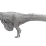 Nqwebasaurus sketch
