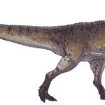 Piatnitzkysaurus left view