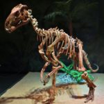 Probactrosaurus skeleton scaled