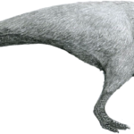 Rhabdodon standing