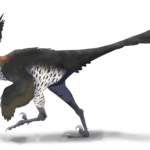 Saurornithoides restore
