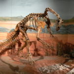 Thecodontosaurus skeleton