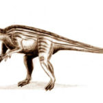Thecodontosaurus standing