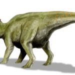 Udanoceratops back