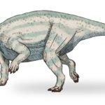 Udanoceratops walking
