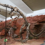 Yunnanosaurus skeleton scaled