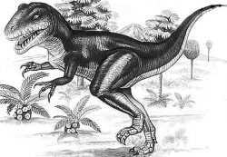 afrovenator
