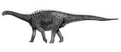 ampelosaurus