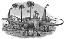 apatosaurus