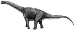 aragosaurus