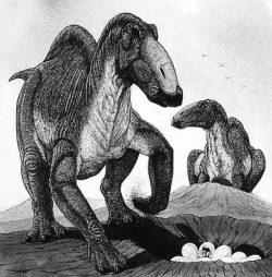 aralosaurus