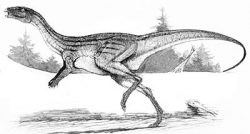 atlascopcosaurus