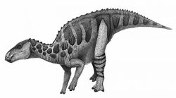 bactrosaurus