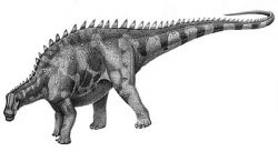 brachytrachelopan