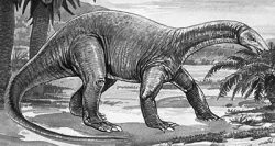 chinshakiangosaurus