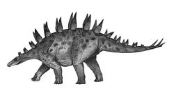 chungkingosaurus