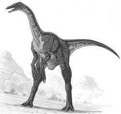 deinoc
