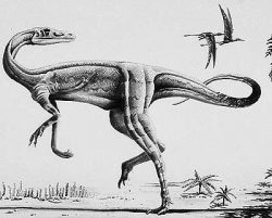 elaphrosaurus