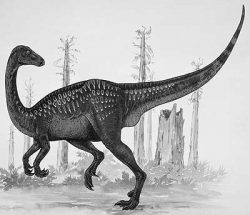 erlikosaurus