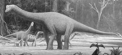 europasaurus