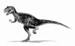 eustreptospondylus