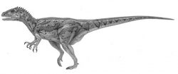fukuiraptor