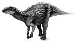 fukuisaurus