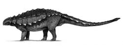 gobisaurus