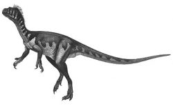 guaibasaurus