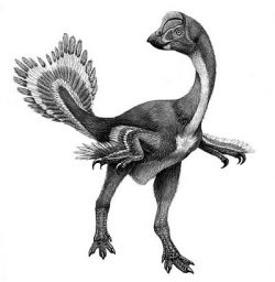 hagryphus