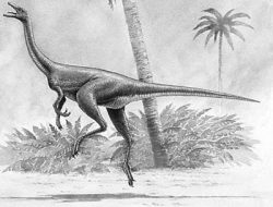 harpymimus
