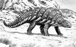 hylaeo