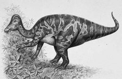 hypacrosaurus