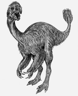 ingenia