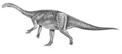 jingshanosaurus