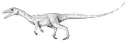 juravenator