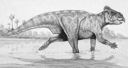 leptoceratops