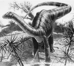 magyarosaurus