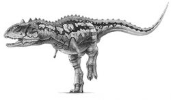 majungatholus