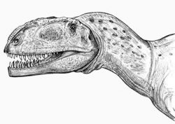 mapusaurus