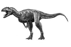 marshosaurus