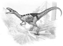 masiakasaurus