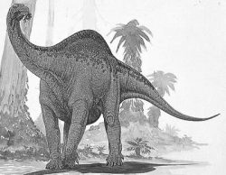 melanorosaurus