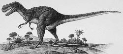 metriacanthosaurus